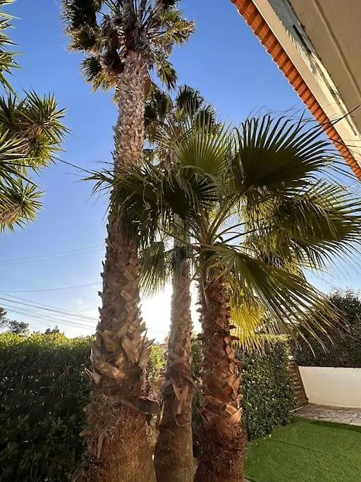 Nice Villa In Cascais, Near The Center And Beaches, But In A Very Quite Neighborhood 0*, 卡斯凯什 葡萄牙